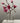 CRYSTAL BUD VASE DIMENSIONAL DESIGN VV4464