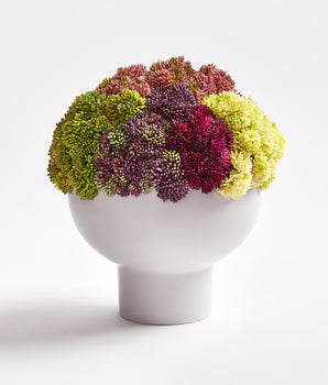 SHRUB HUB SMALL FL2511S