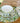 CREAM FLORAL GARDEN 9" SALAD PLATE MELAMINE S/4 MS90004