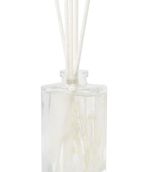 PRESERVED FLOWER DIFFUSER WHITE SEA SHELL VD4488