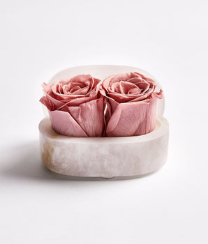 MINI PRESERVED ROSES FL2502