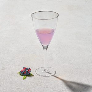 Hammered Wine Glass W/Silver Rim S/6 13oz VD-2013-HS