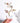 CRYSTAL FLORAL CLEAR PLUM DMCF-PLM-CL