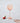 PLATINIM CORAL BALL WINE GLASS W/ GOLD RIM 17oz S/6 VD-P17-CO