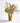 SAGE GLORY FL2523