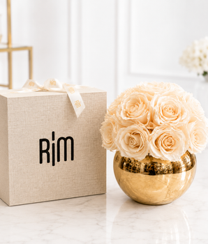 PRESERVED BEIGE ROSE BALL GOLD VASE SMALL PBRBGVS