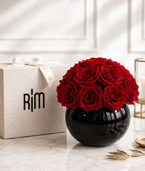 PRESERVED RED ROSE BALL BLACK VASE SMALL PRRBBVS