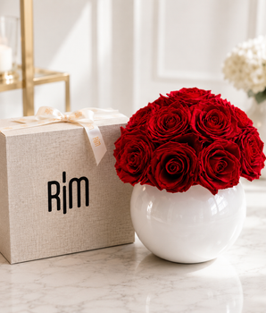 PRESERVED RED ROSE BALL WHITE VASE SMALL PRRBWVS
