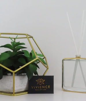 Gold Frame Square Shaped Diffuser VGD3610