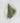 LUSTER GREEN NAPKIN