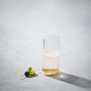 Elegant Highball Glass 15.5OZ S/6 VD-15-EG
