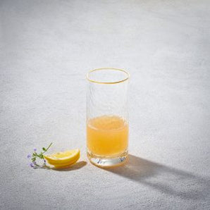 Hammered Highball W/ Gold Rim 10oz S/6 VD-2110-HGR