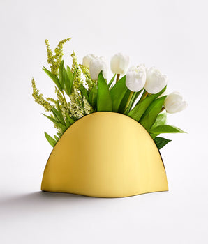 TULIP ELEGANCE FL2506